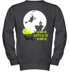 Which Witch Is Witches Halloween Costume Halloween Witches Teacher Youth Sweatshirt - NFLFanGift