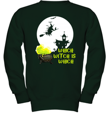 Which Witch Is Witches Halloween Costume Halloween Witches Teacher Youth Sweatshirt - NFLFanGift