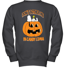 Don't Bother Me In Candy Coma Funny Snoopy Pumpkin Halloween Youth Sweatshirt - NFLFanGift
