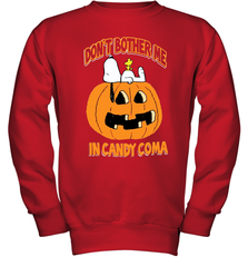 Don't Bother Me In Candy Coma Funny Snoopy Pumpkin Halloween Youth Sweatshirt - NFLFanGift