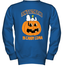 Don't Bother Me In Candy Coma Funny Snoopy Pumpkin Halloween Youth Sweatshirt - NFLFanGift